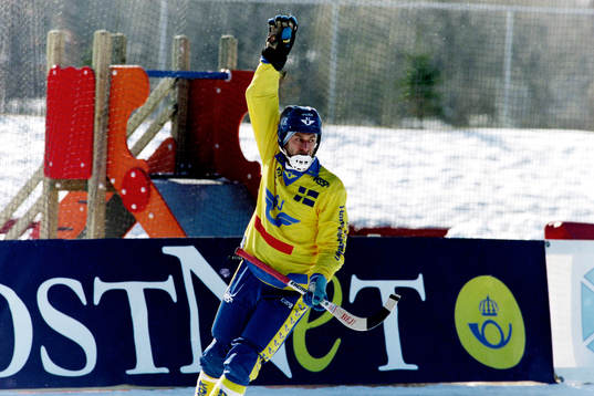 Hans Johansson, Sverige jublar