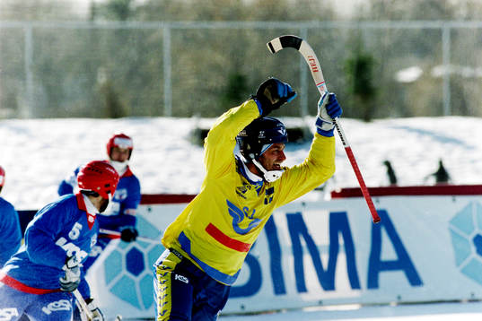 Hans Johansson, Sverige jublar