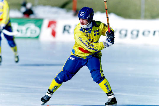 Ola Fredricsson, Sverige
