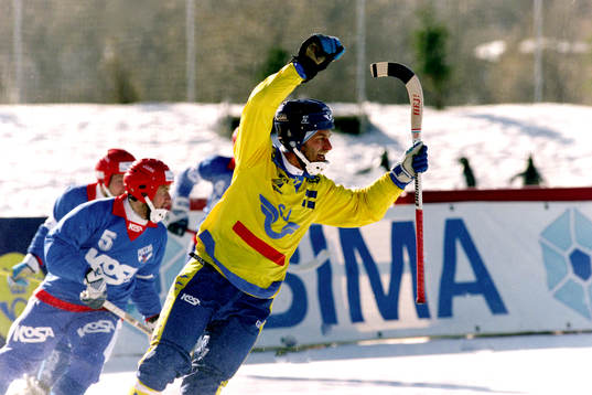 Hans Johansson, Sverige jublar