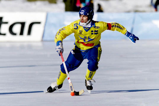 Stefan Jonsson, Sverige