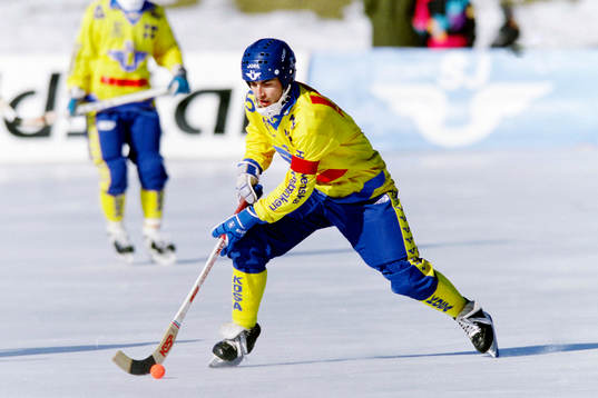 Stefan Jonsson, Sverige