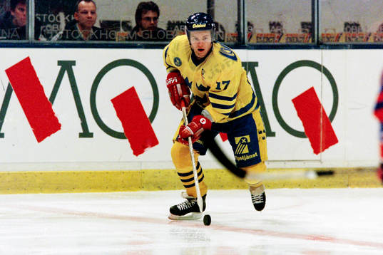 Daniel Rydmark, Sverige