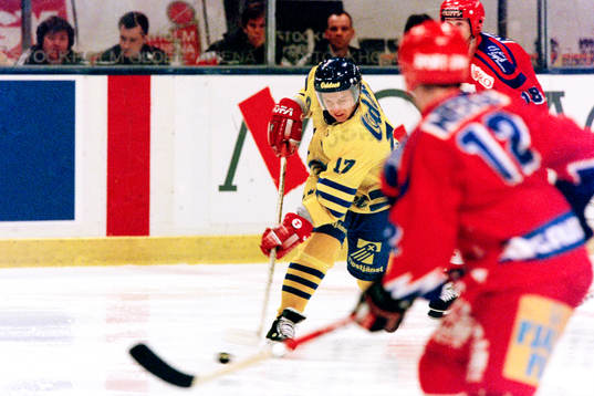 Daniel Rydmark, Sverige