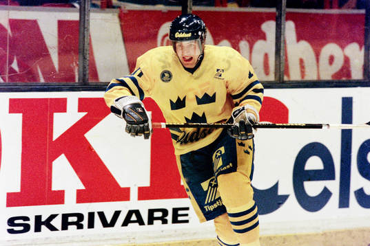 Roger Hansson, Sverige