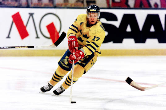 Daniel Rydmark, Sverige