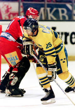 Patrik Erickson, Sverige