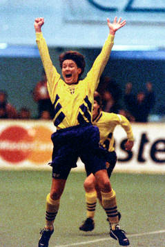 Lena Videkull, Sverige