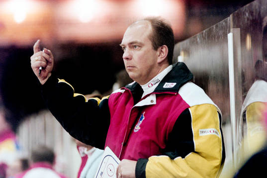 Sune Bergman, Tränare i HV71
