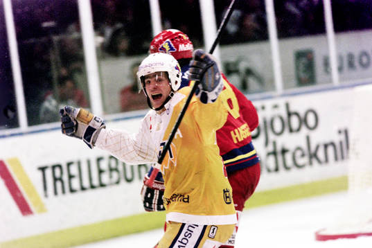 Stefan Falk, HV71 jublar