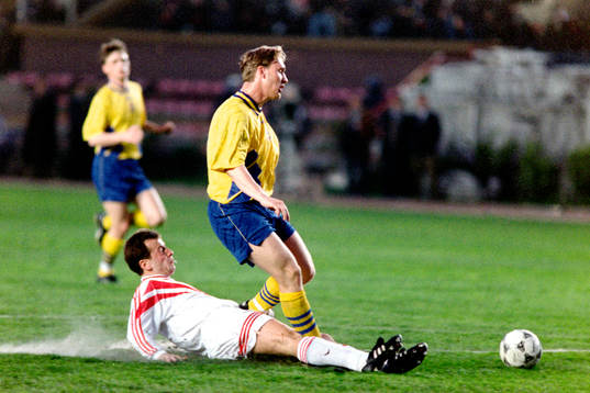 Niklas Skoog, Sverige