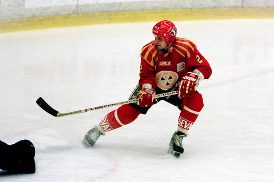 Bedrich Scerban, Brynäs