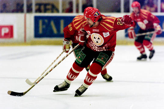Sergeij Pushkov, Brynäs