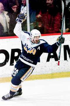 Stefan Falk, HV71 jublar