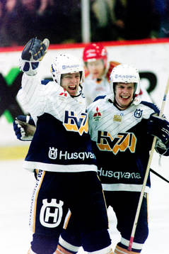 Stefan Falk, HV71 jublar