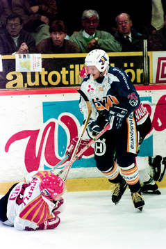 Marko Palo, HV71