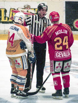 Domare Roger Öberg i diskussion med Fredrik Stillman, HV71