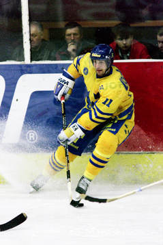 Roger Hansson, Sverige