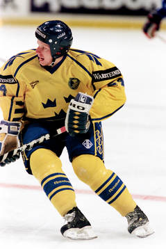 Daniel Alfredsson, Sverige