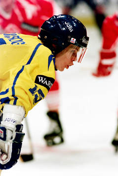Stefan Örnskog, Sverige