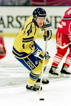 Stefan Nilsson, Sverige