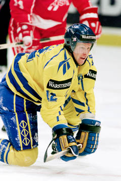 Andreas Dackell, Sverige