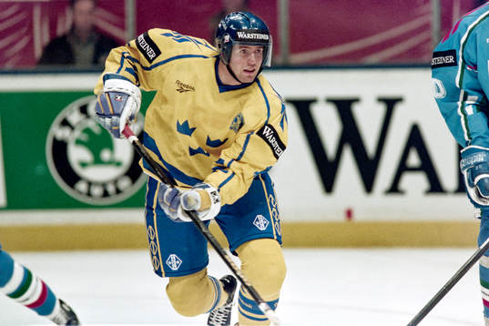 Roger Hansson, Sverige