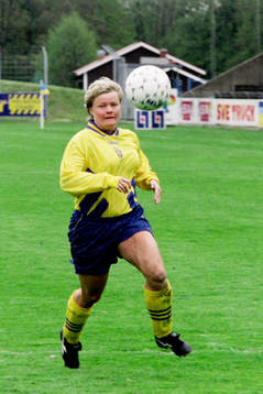 Anneli Andelén, Sverige