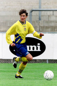 Lena Videkull, Sverige