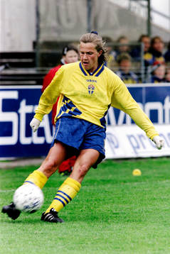 Malin Andersson, Sverige