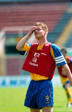 Stefan Schwarz
