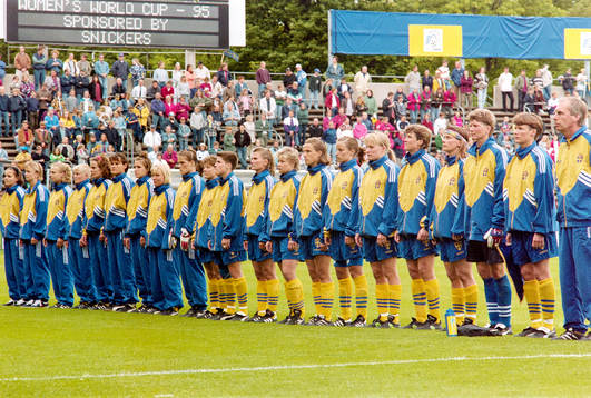 Det svenska laget