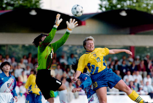 Anneli Andelén, Sverige