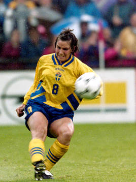 Susanne Hedberg, Sverige
