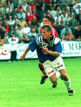 Fredrik Ljungberg, Halmstad