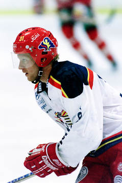Stefan Elvenes, Malmö