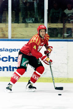 Mikael Wiklander, Brynäs