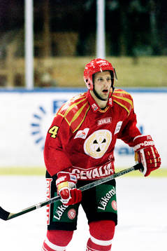Mikael Wiklander, Brynäs