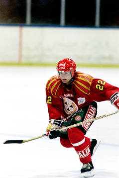 Greg Parks, Brynäs