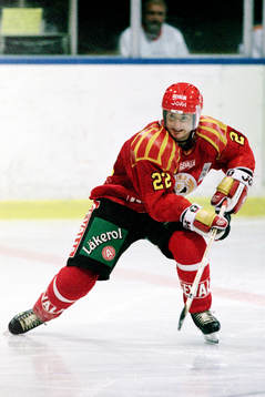Greg Parks, Brynäs