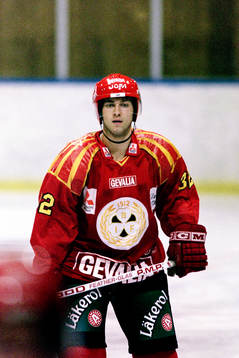 Brian Rafalski, Brynäs