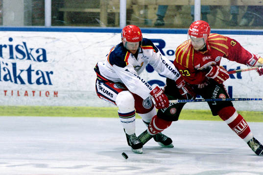 Stefan Elvenes, Malmö