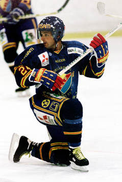 Jan Viktorsson, Djurgården