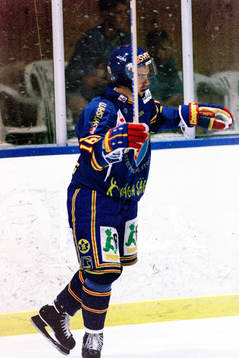 Nichlas Falk, Djurgården