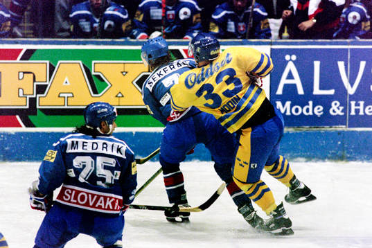 Fredrik Modin, Sverige