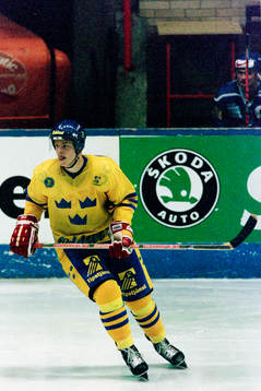 Fredrik Modin, Sverige