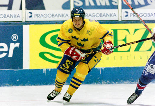 Mattias Timander, Sverige