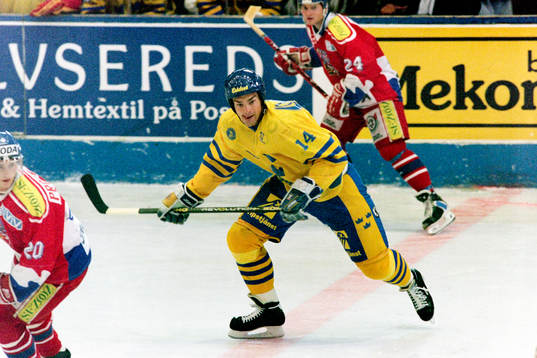 Jonas Höglund, Sverige