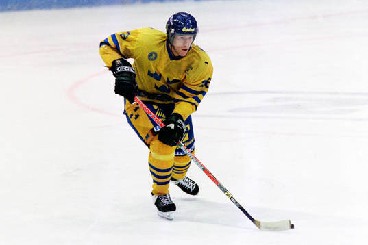 Mattias Öhlund, Sverige