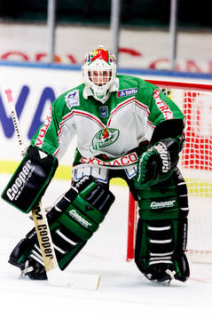 Magnus Swärdh, målvakt, Rögle